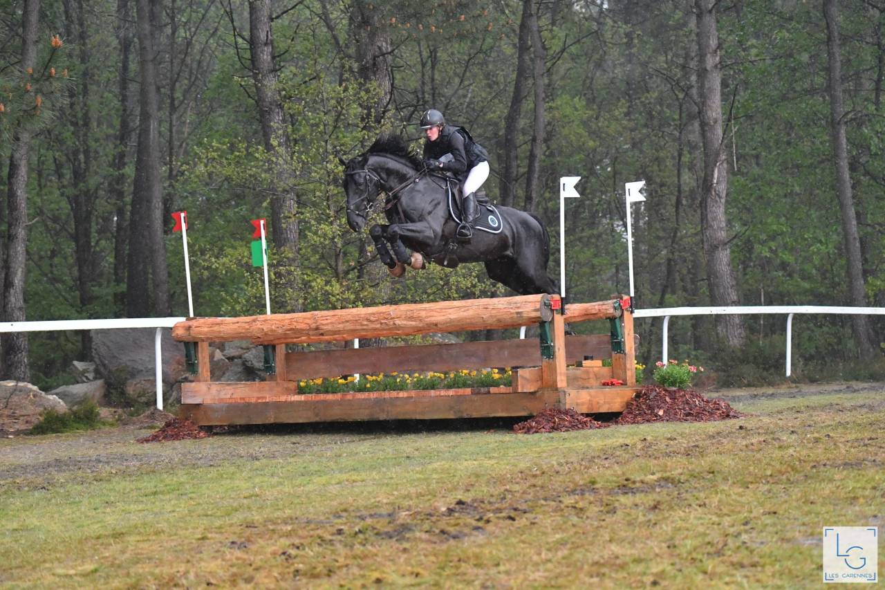 HEROE DE CAFENY - Sella Francese 2017 ,  DIAMANT DE SEMILLY