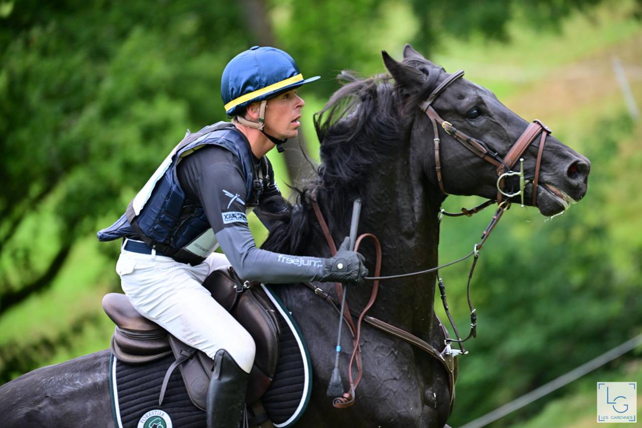 HEROE DE CAFENY - Sella Francese 2017 ,  DIAMANT DE SEMILLY