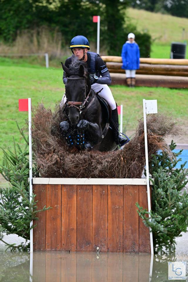 HEROE DE CAFENY - Sella Francese 2017 ,  DIAMANT DE SEMILLY