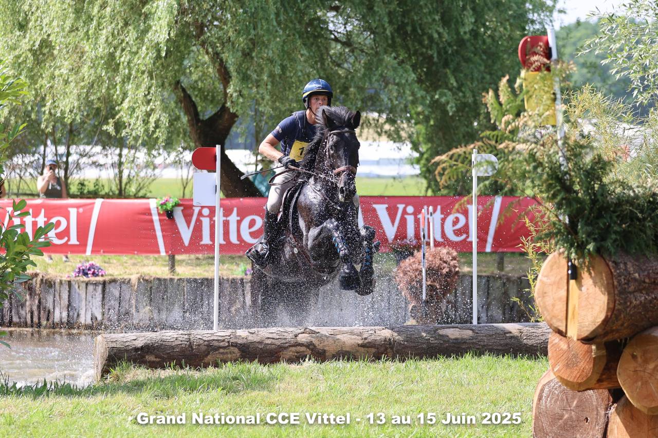 HEROE DE CAFENY - Sella Francese 2017 ,  DIAMANT DE SEMILLY