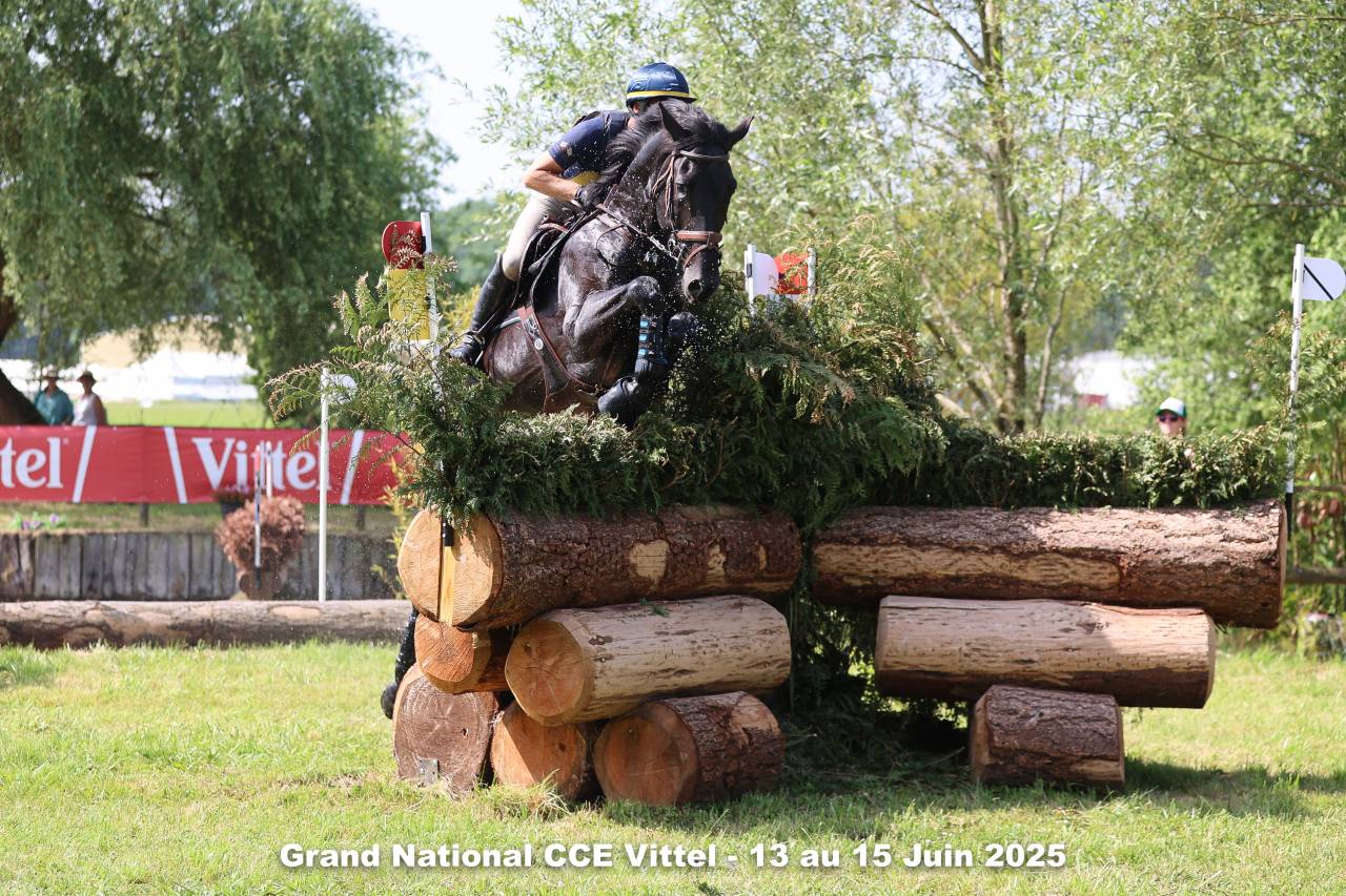 HEROE DE CAFENY - Sella Francese 2017 ,  DIAMANT DE SEMILLY