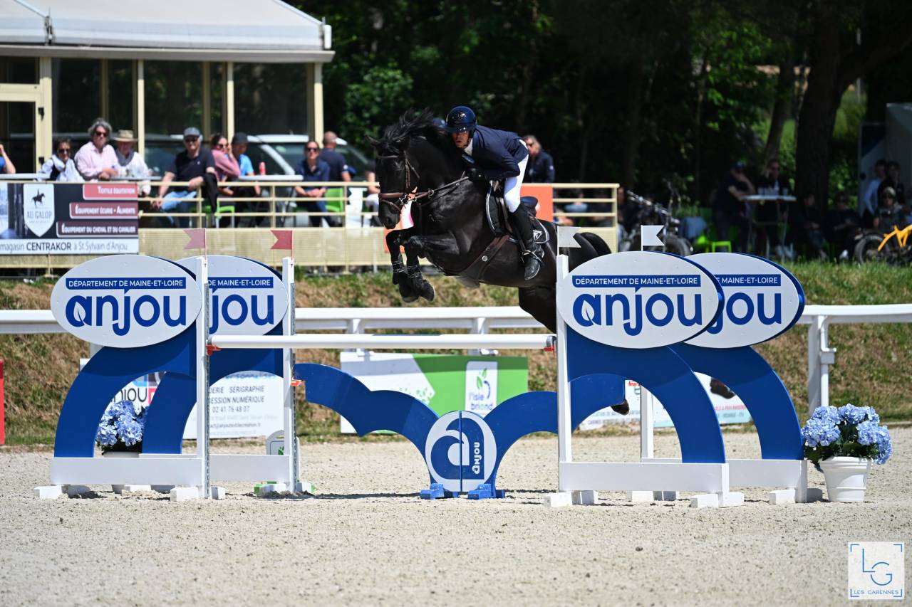 HEROE DE CAFENY - Sella Francese 2017 ,  DIAMANT DE SEMILLY