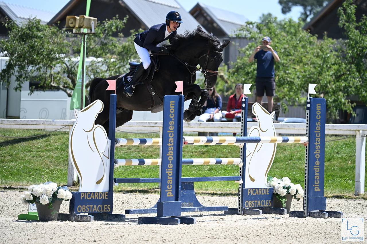 HEROE DE CAFENY - Sella Francese 2017 ,  DIAMANT DE SEMILLY