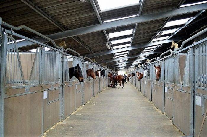 Centro di stagione cavallo In vendita Loiret