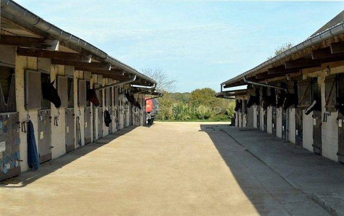 Centro di stagione cavallo In vendita Loiret