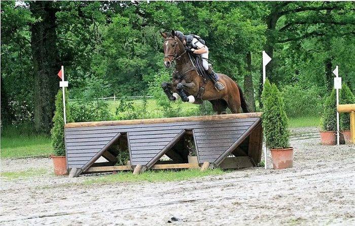 Centro di stagione cavallo In vendita Loiret