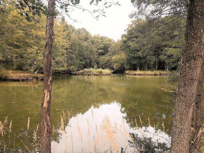 Proprietà equestre In vendita Paris
