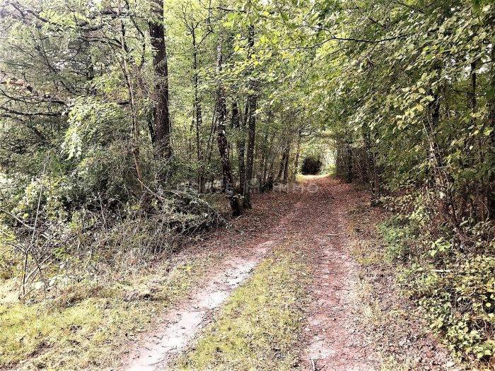 Proprietà equestre In vendita Paris