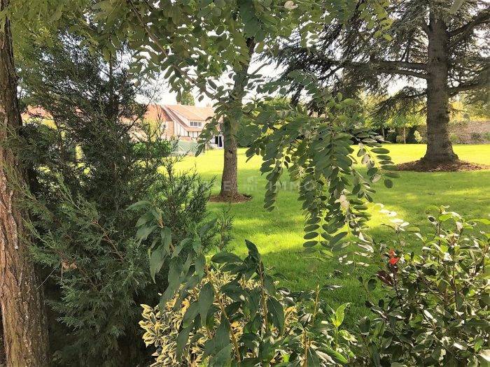 Centro di stagione cavallo In vendita Seine-et-Marne