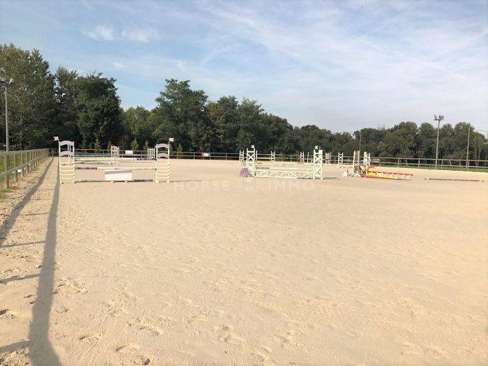 Centro di stagione cavallo In vendita Seine-et-Marne