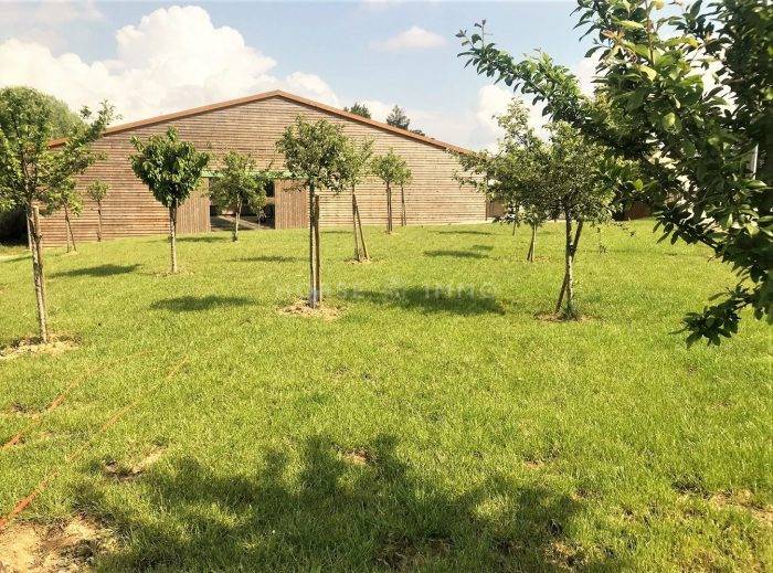 Centro di stagione cavallo In vendita Seine-et-Marne