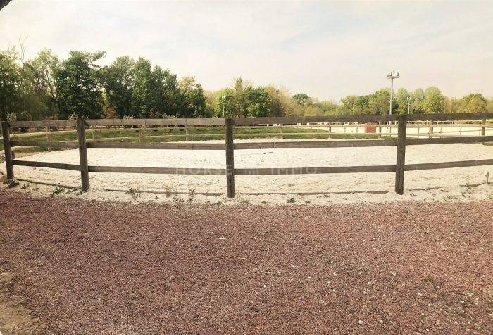 Centro di stagione cavallo In vendita Seine-et-Marne
