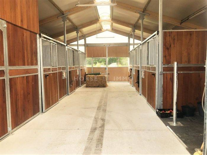 Centro di stagione cavallo In vendita Seine-et-Marne