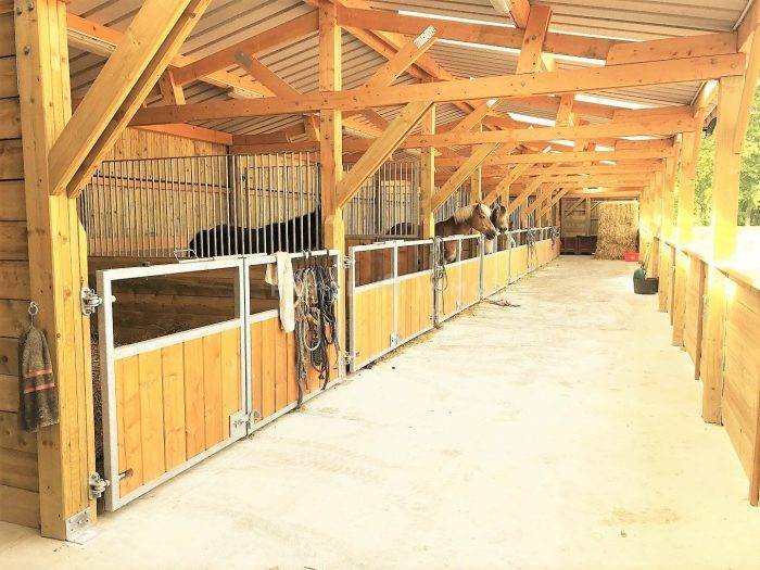 Centro di stagione cavallo In vendita Seine-et-Marne
