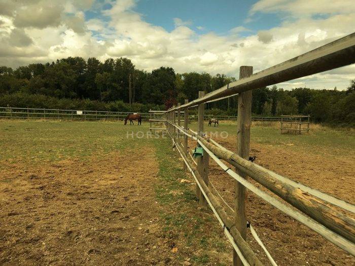Centro di stagione cavallo In vendita Seine-et-Marne