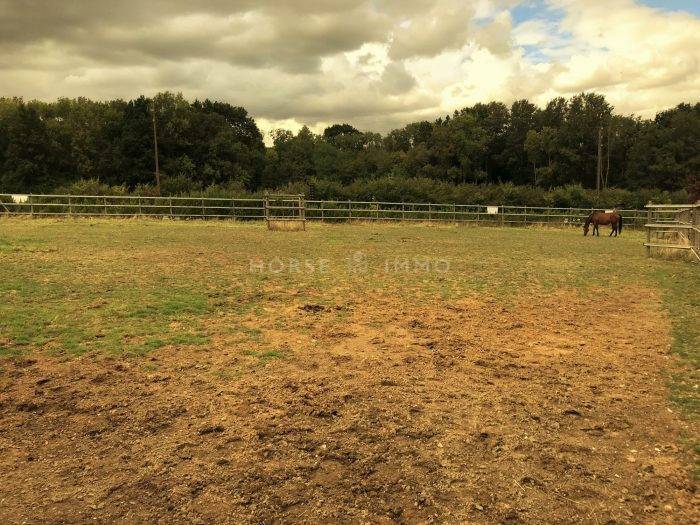 Centro di stagione cavallo In vendita Seine-et-Marne