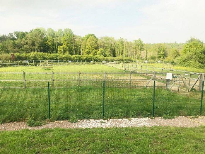 Centro di stagione cavallo In vendita Seine-et-Marne