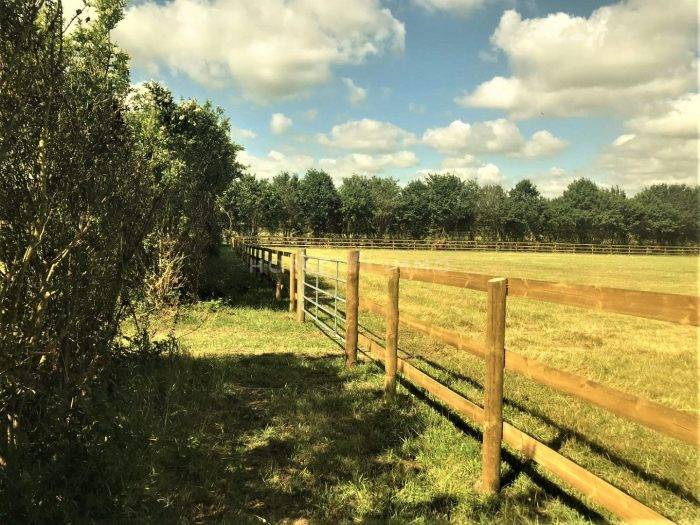 Proprietà equestre In vendita Eure