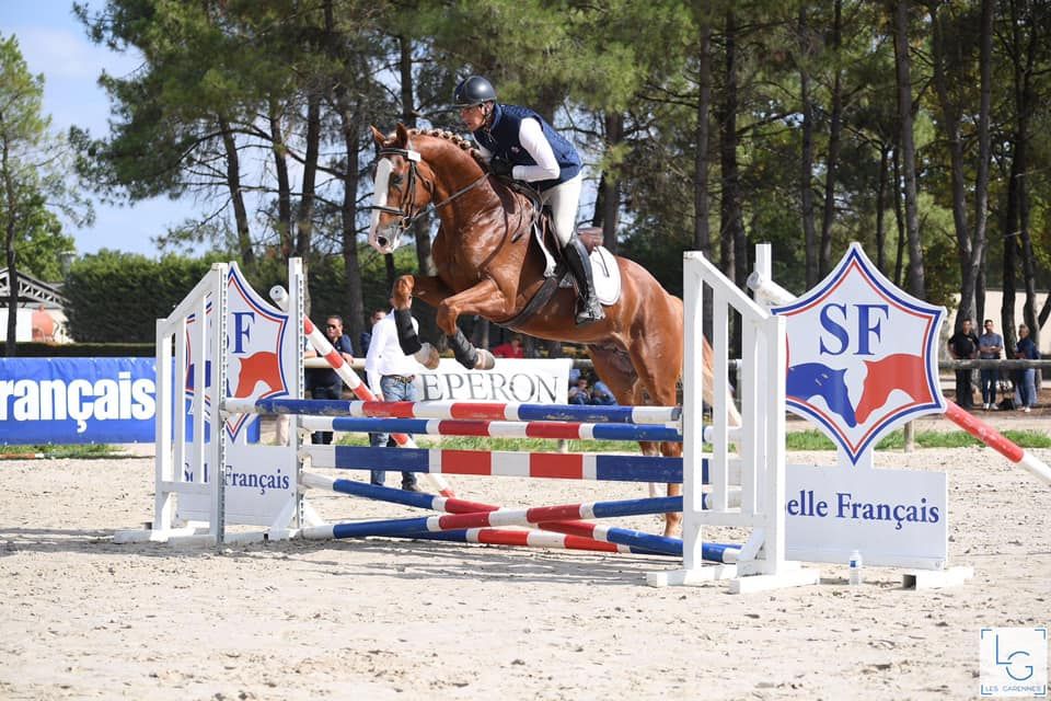 Gracieux d'Osmont - Sella Francese 2016 ,  jadis de toscane  sfa