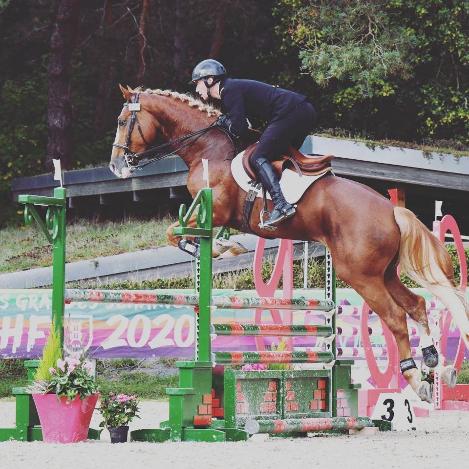 Gracieux d'Osmont - Sella Francese 2016 ,  jadis de toscane  sfa