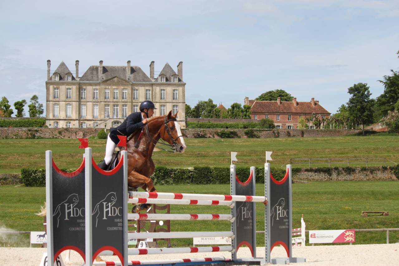 Gracieux d'Osmont - Sella Francese 2016 ,  jadis de toscane  sfa