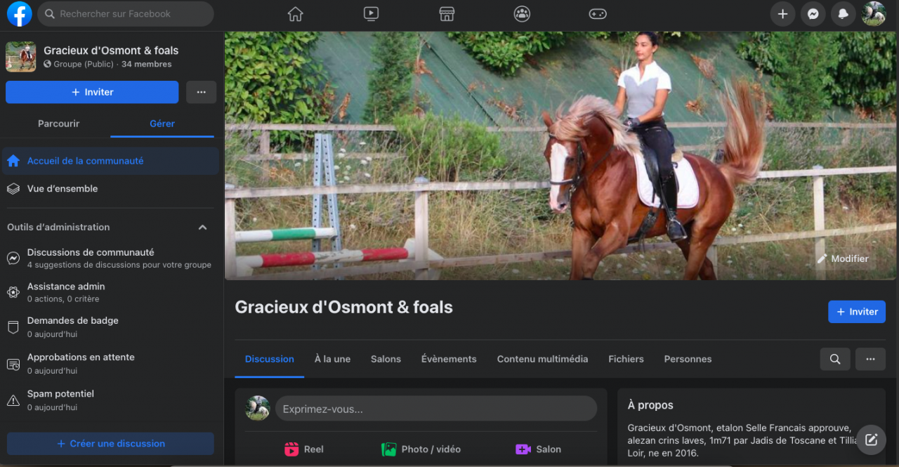 Gracieux d'Osmont - Sella Francese 2016 ,  jadis de toscane  sfa