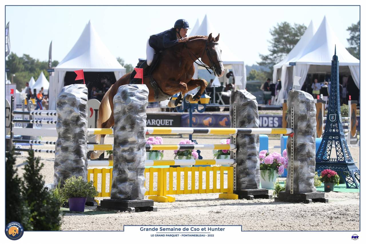 Gracieux d'Osmont - Sella Francese 2016 ,  jadis de toscane  sfa