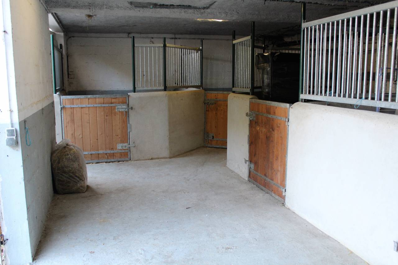 Bella dimora equestre In vendita Val-d'Oise