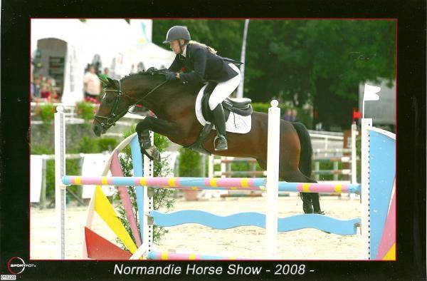 Niloway de l'Arbalou  - New Forest 2001 ,  Willoway Montmain Goldcharm