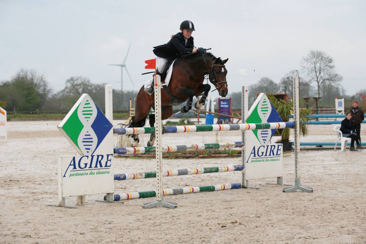 Niloway de l'Arbalou  - New Forest 2001 ,  Willoway Montmain Goldcharm