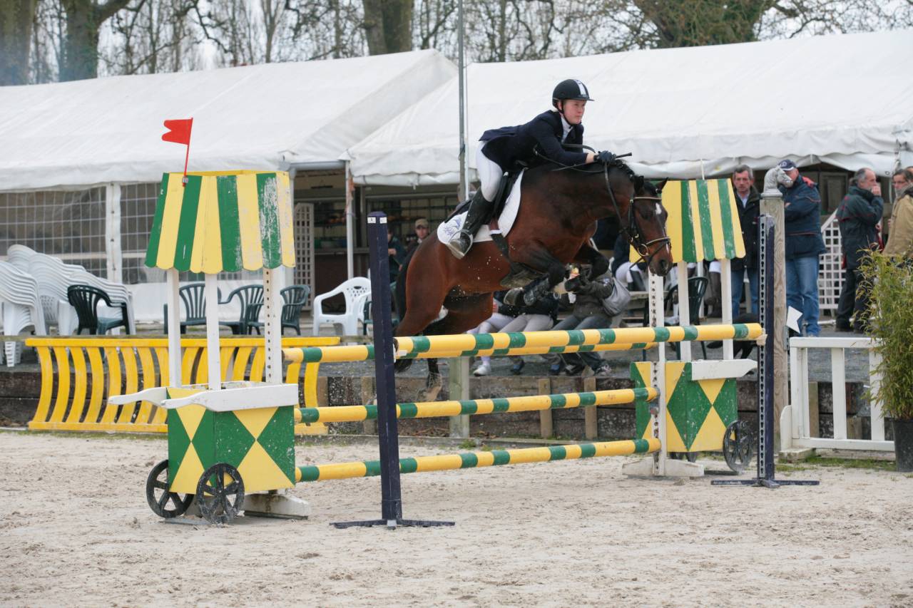 Niloway de l'Arbalou  - New Forest 2001 ,  Willoway Montmain Goldcharm