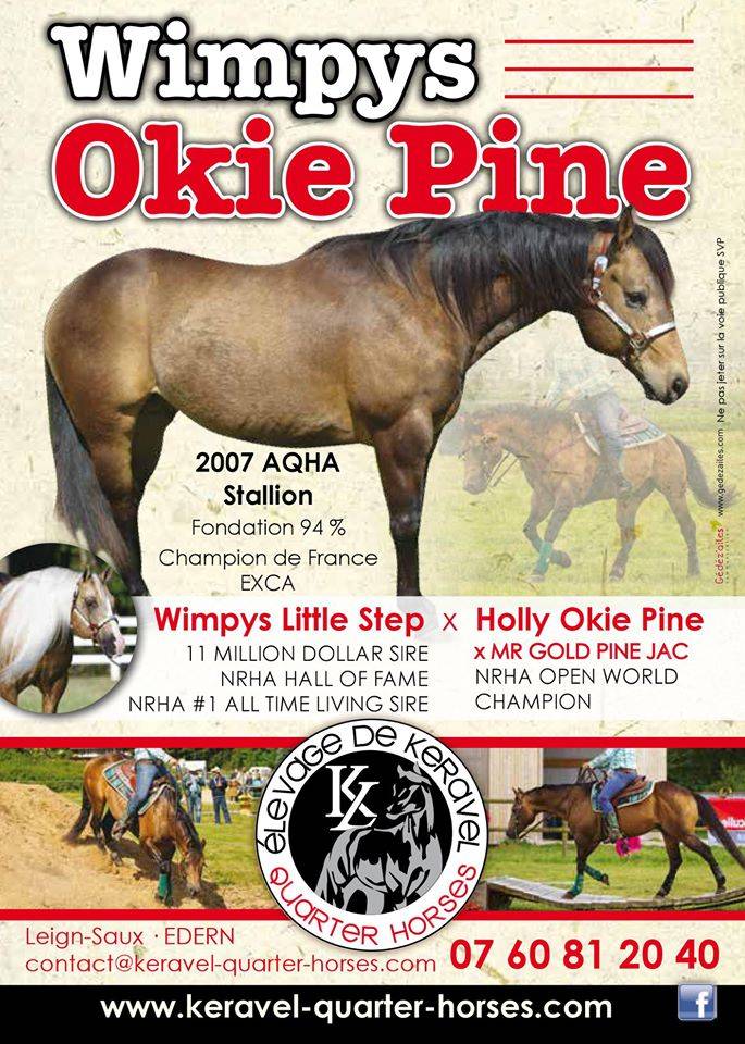 WIMPYS OKIE PINE - Quarter Horse 2007 ,  Wimpys little Step