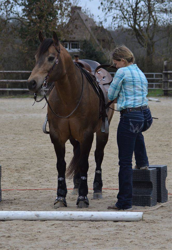 WIMPYS OKIE PINE - Quarter Horse 2007 ,  Wimpys little Step