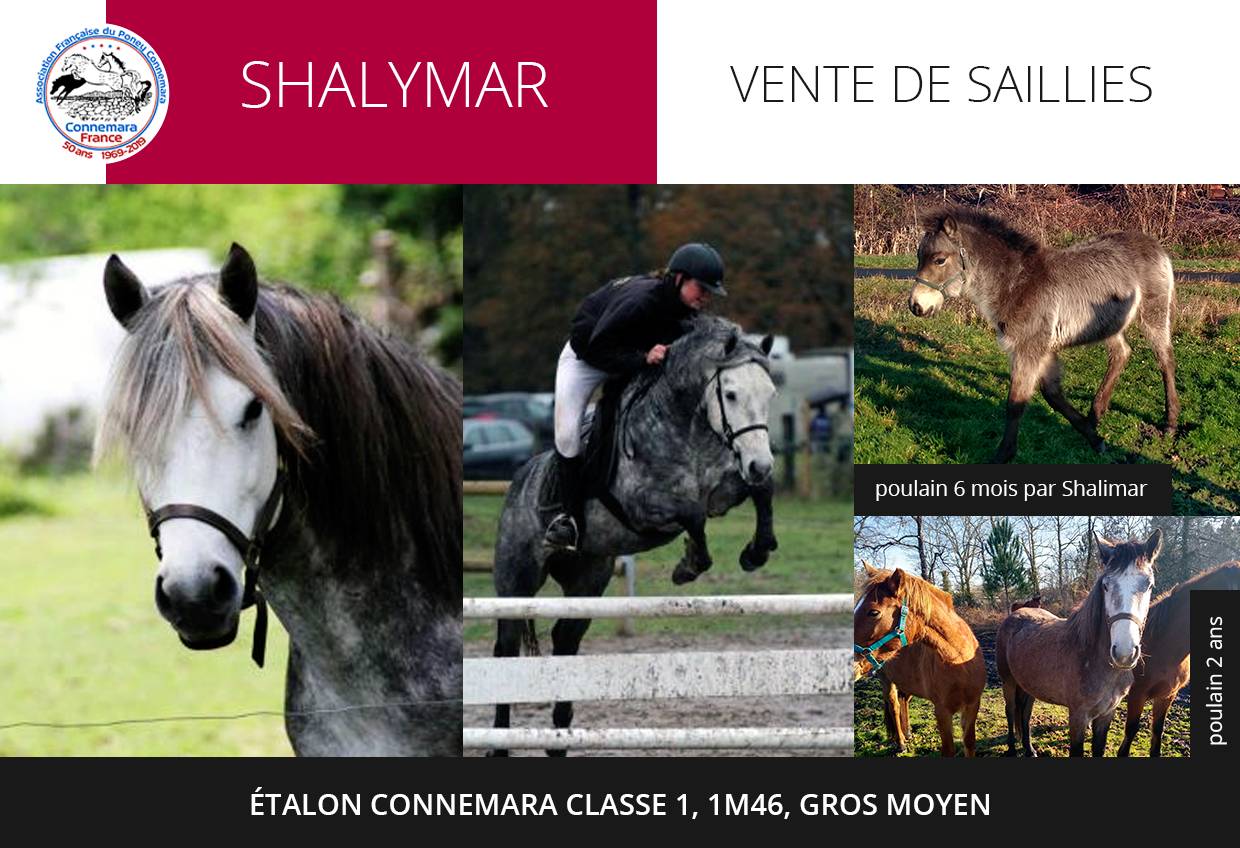 SHALYMAR - Connemara 2006