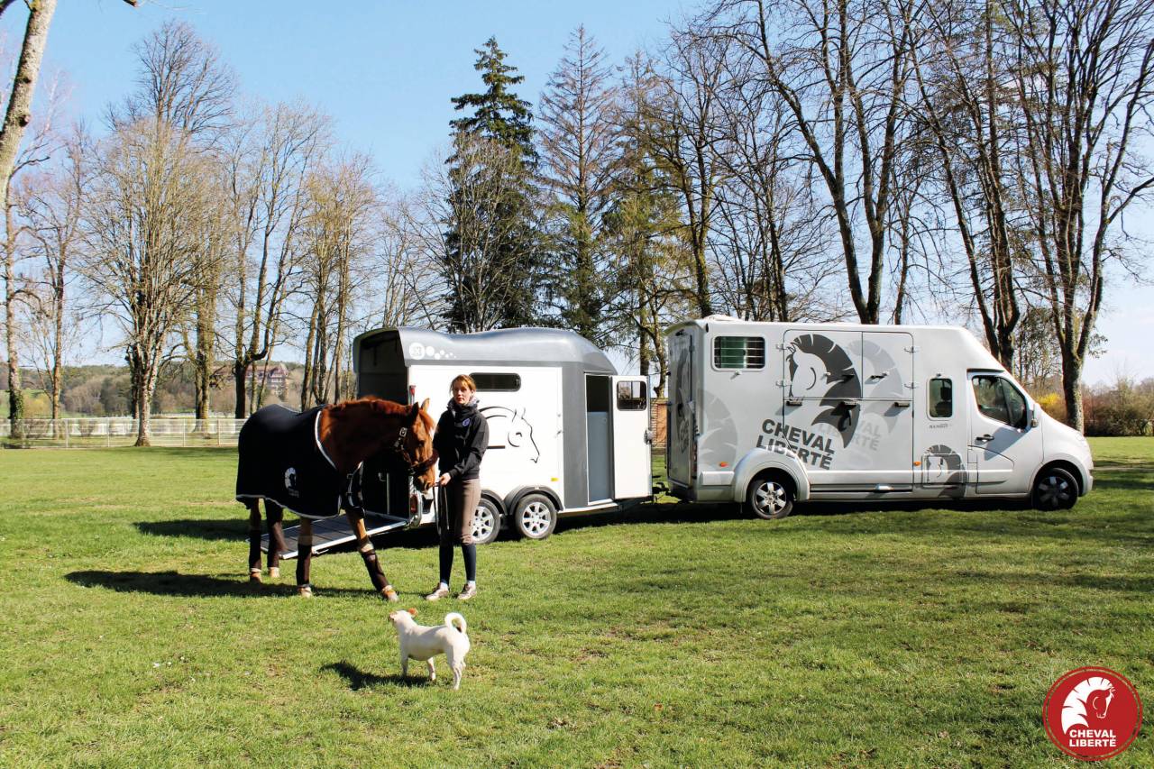 Trailer Cheval Liberté Gold 3 2 Cavalli 2024 Nuovo