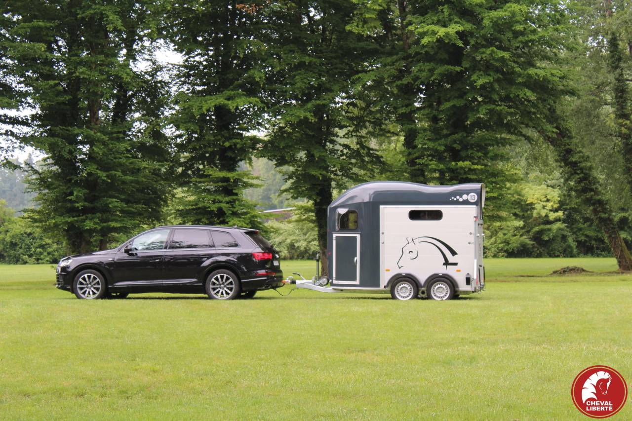 Trailer Cheval Liberté Gold 3 2 Cavalli 2024 Nuovo
