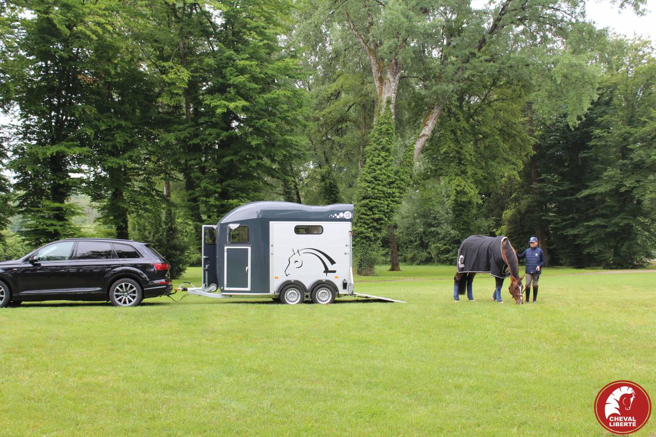 Trailer Cheval Liberté Gold 3 2 Cavalli 2024 Nuovo