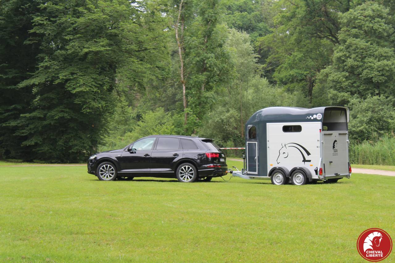 Trailer Cheval Liberté Gold 3 2 Cavalli 2024 Nuovo