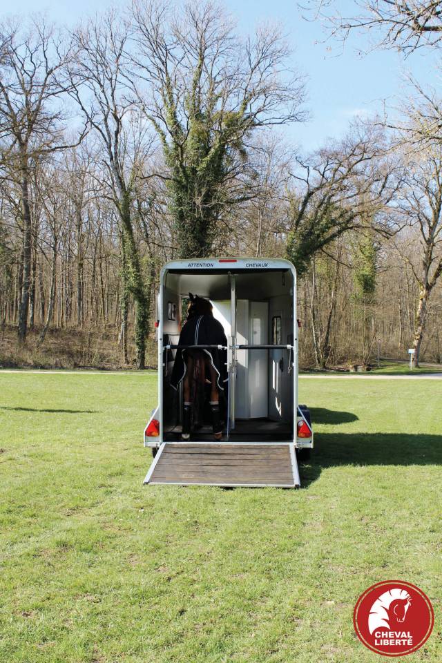 Trailer Cheval Liberté Touring country 2 Cavalli 2024 Nuovo