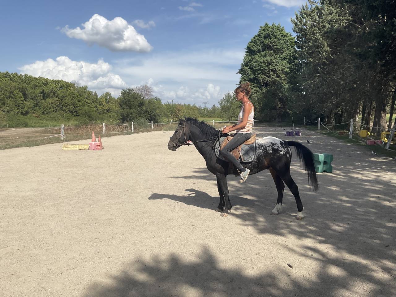 Stallone Curly In vendita 2011 Appaloosa