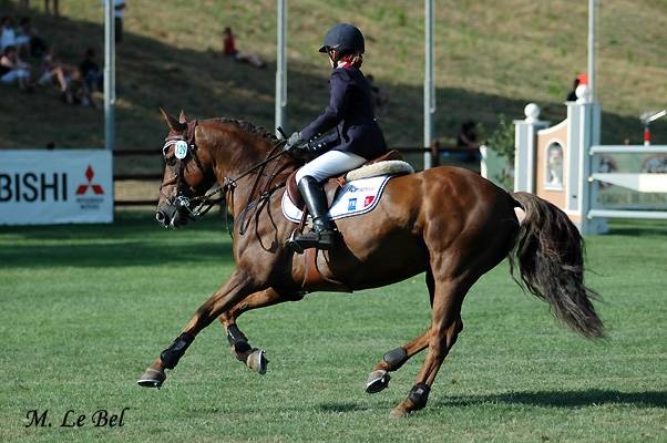IMPERIAL DU BLIN  - Connemara 1996 ,  QUETZAL DU BLIN