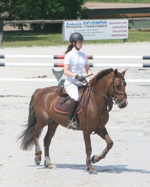 IMPERIAL DU BLIN  - Connemara 1996 ,  QUETZAL DU BLIN