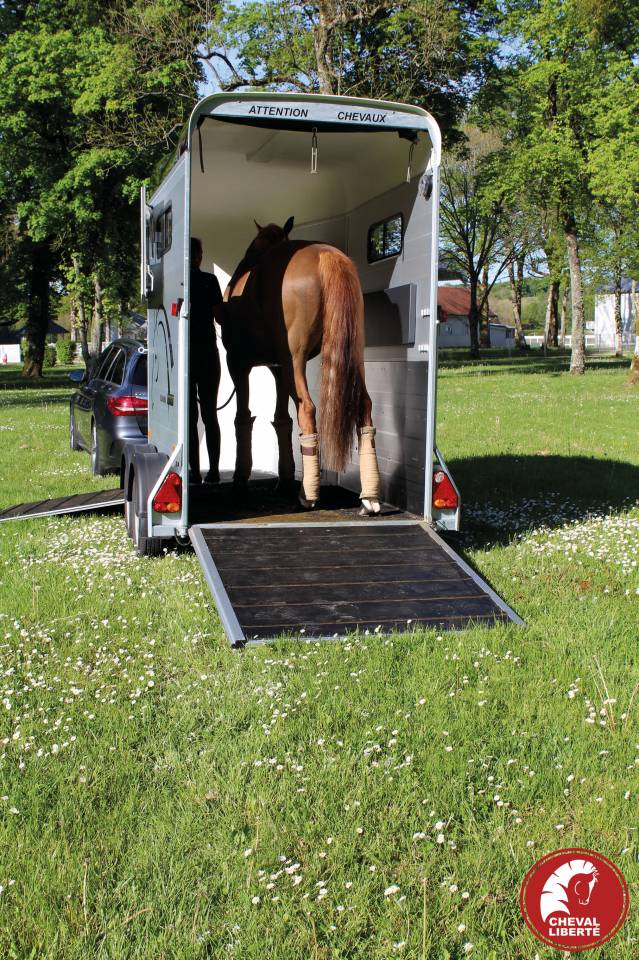 Trailer Cheval Liberté Touring one 1,5 Cavalli 2024 Nuovo