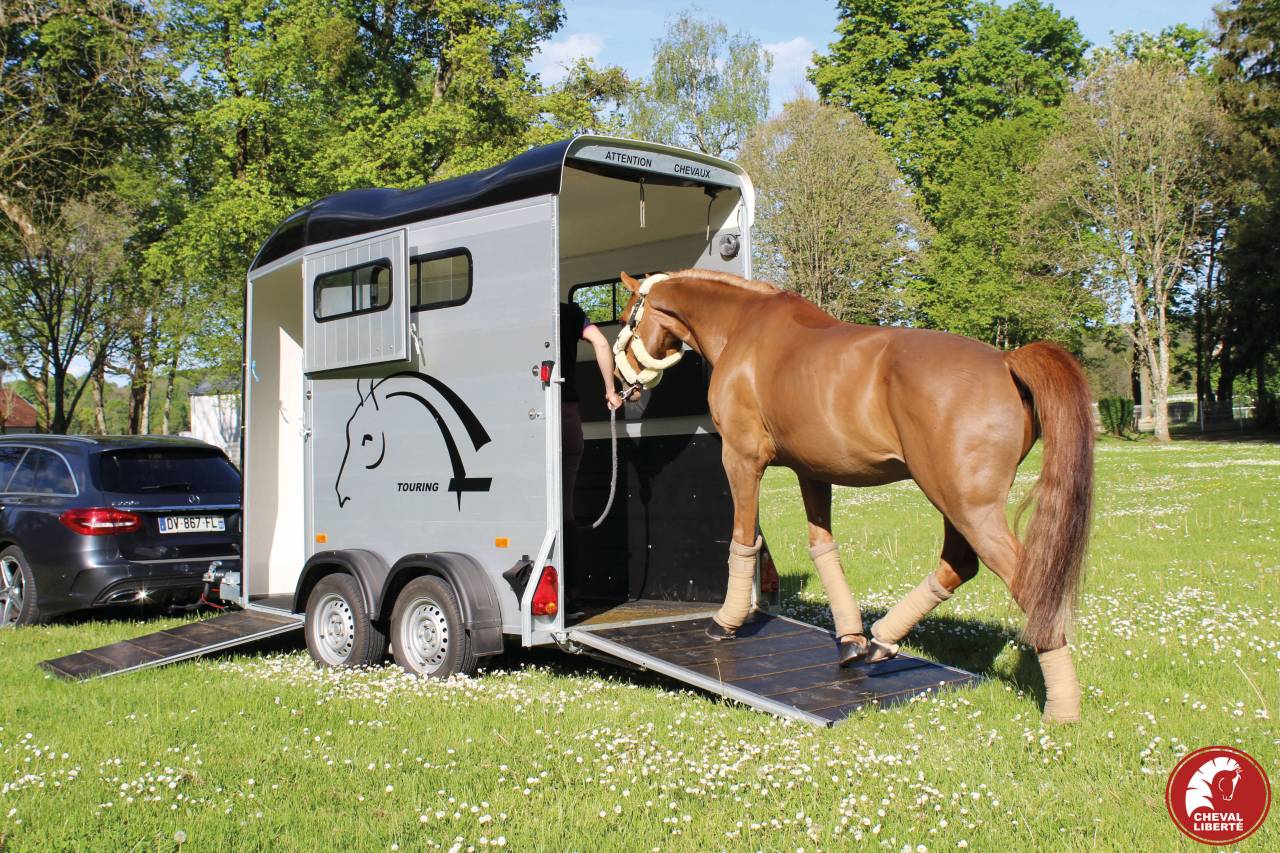 Trailer Cheval Liberté Touring one 1,5 Cavalli 2024 Nuovo