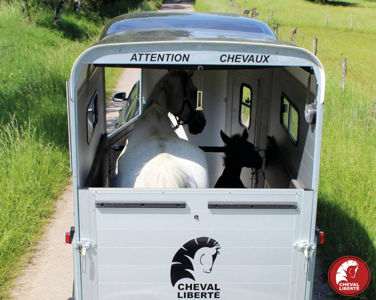 Trailer Cheval Liberté Touring one 1,5 Cavalli 2024 Nuovo