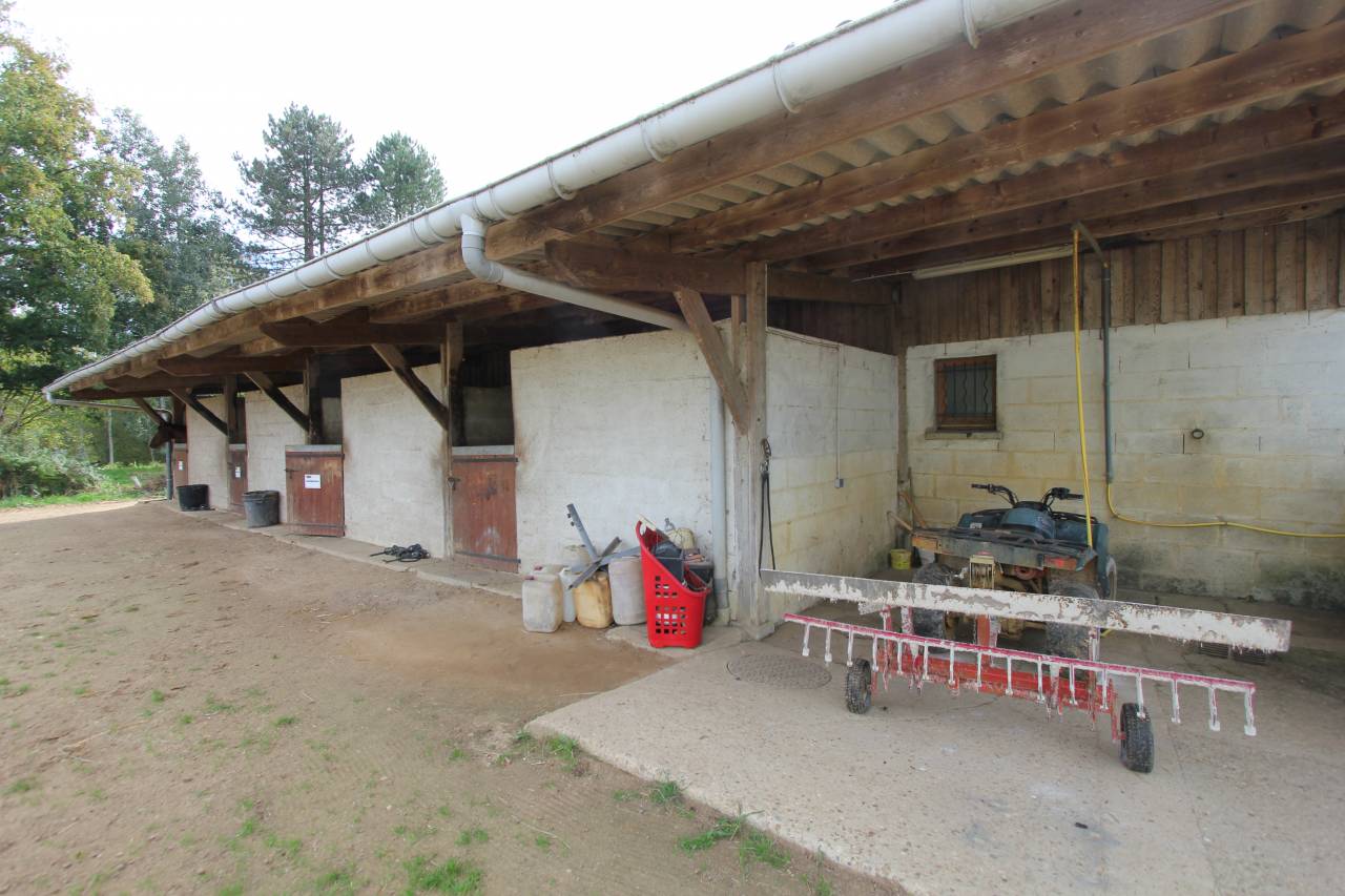 Proprietà equestre In vendita Sarthe