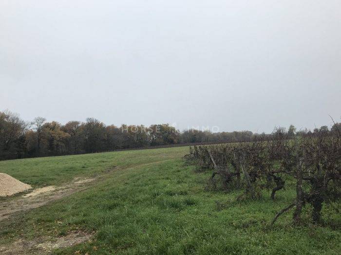 Bella dimora equestre In vendita Dordogne
