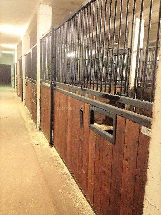 Centro ippico In vendita Allier