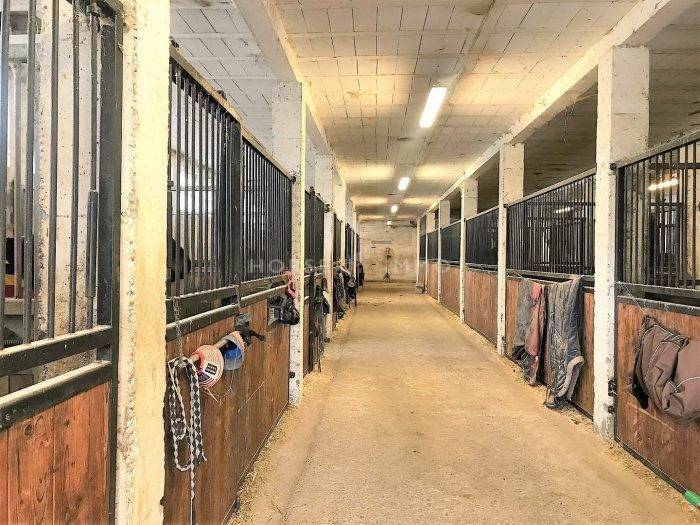 Centro ippico In vendita Allier