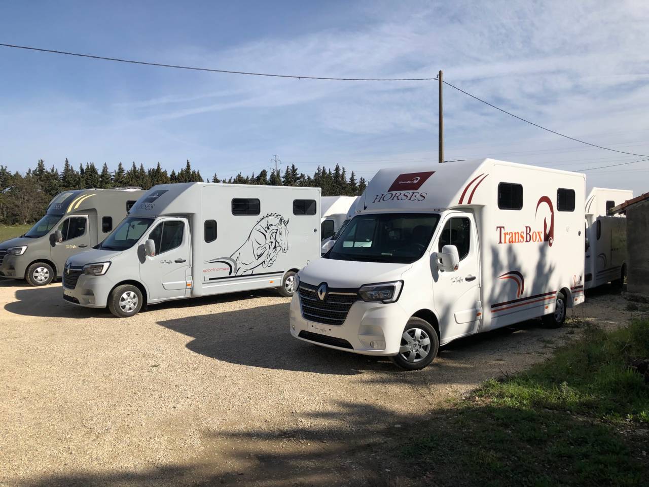 Van per Cavalli Trans Box SVELTO 3S 2024 Nuovo